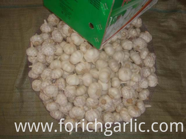 Pure White Garlic